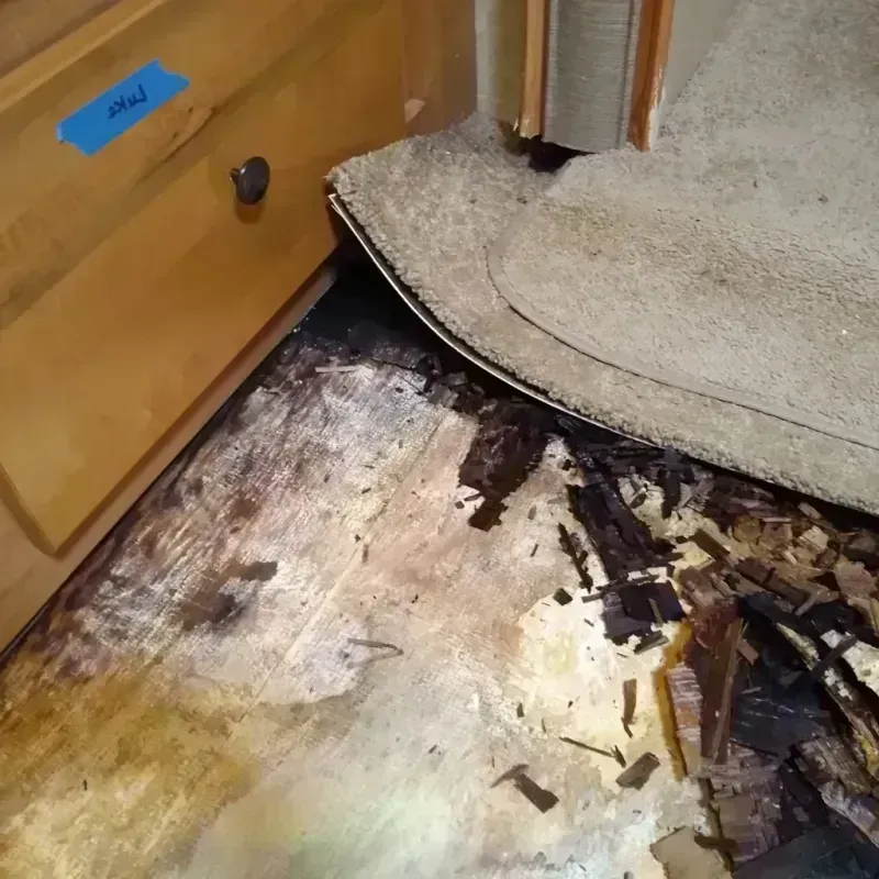 Wood Floor Water Damage in Licking, MO